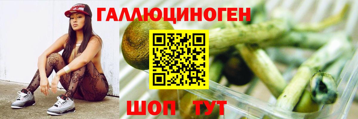 Псилоцибиновые грибы прущие грибы  Вход с VPN  Артём 